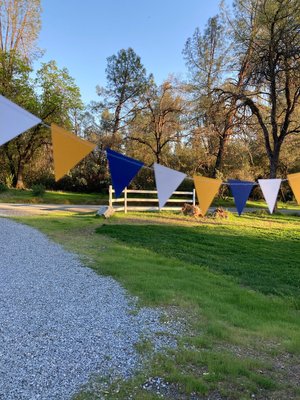 Graduation Decoration, Blue and Gold, Graduation Garland, Triangle Bunting, UC Berkeley Graduation, U of California Grad, Dorm Decoration