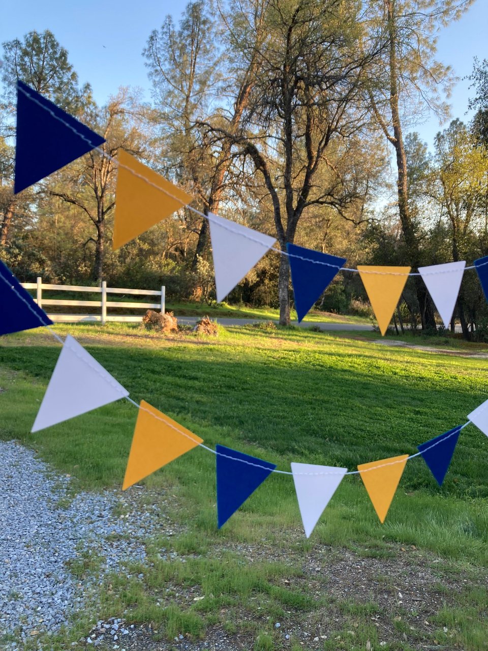 Graduation Decoration, Blue and Gold, Graduation Garland, Triangle Bunting, UC Berkeley Graduation, U of California Grad, Dorm Decoration
