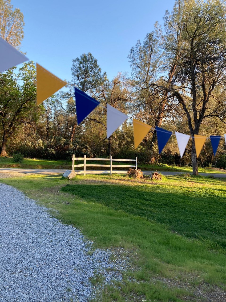 Graduation Decoration, Blue and Gold, Graduation Garland, Triangle Bunting, UC Berkeley Graduation, U of California Grad, Dorm Decoration