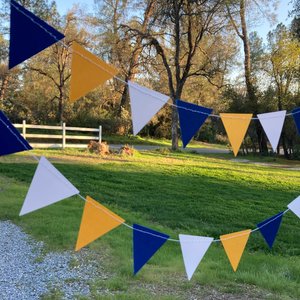 Graduation Decoration, Blue and Gold, Graduation Garland, Triangle Bunting, UC Berkeley Graduation, U of California Grad, Dorm Decoration