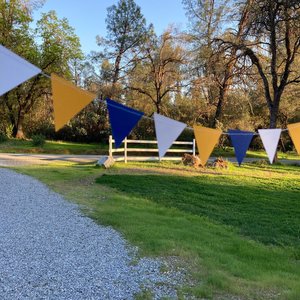 Graduation Decoration, Blue and Gold, Graduation Garland, Triangle Bunting, UC Berkeley Graduation, U of California Grad, Dorm Decoration