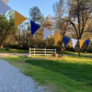 Graduation Decoration, Blue and Gold, Graduation Garland, Triangle Bunting, UC Berkeley Graduation, U of California Grad, Dorm Decoration