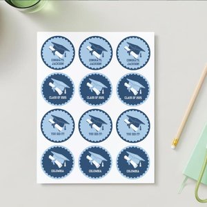 Digital Download Editable Graduation Cupcake Toppers, Personalized Columbia cupcake topper, light blue and navy graduation decor, DIY topper