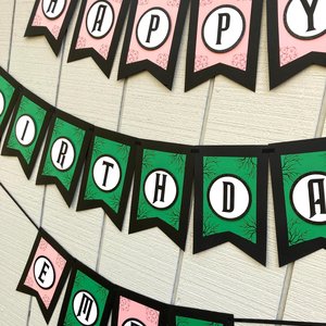 Wicked Personalized Birthday Banner, Good Witch Bad Witch Decor, Green and Pink Birthday Sign, Wicked Movie Party, Trendy Birthday Party
