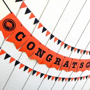 Personalized Princeton graduation banner, large pennant congrats banner, orange and black graduation party decor, Oregon State garlands