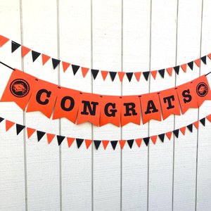Personalized Princeton graduation banner, large pennant congrats banner, orange and black graduation party decor, Oregon State garlands