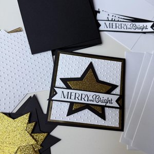 Handmade Christmas Card Kit, Elegant black and gold star card, Merry and Bright, Glitter Star Christmas Card craft Set, Blank Note Cards