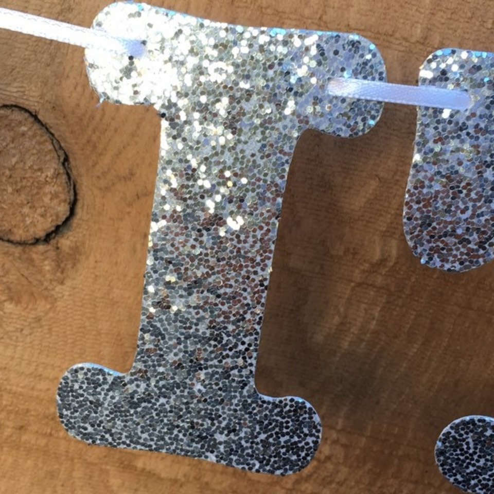 Let It Go Banner, Frozen Birthday Banner, Girl Birthday, Winter Birthday, Kids Birthday, Snowflake Decoration, Silver and Blue Glitter Decor