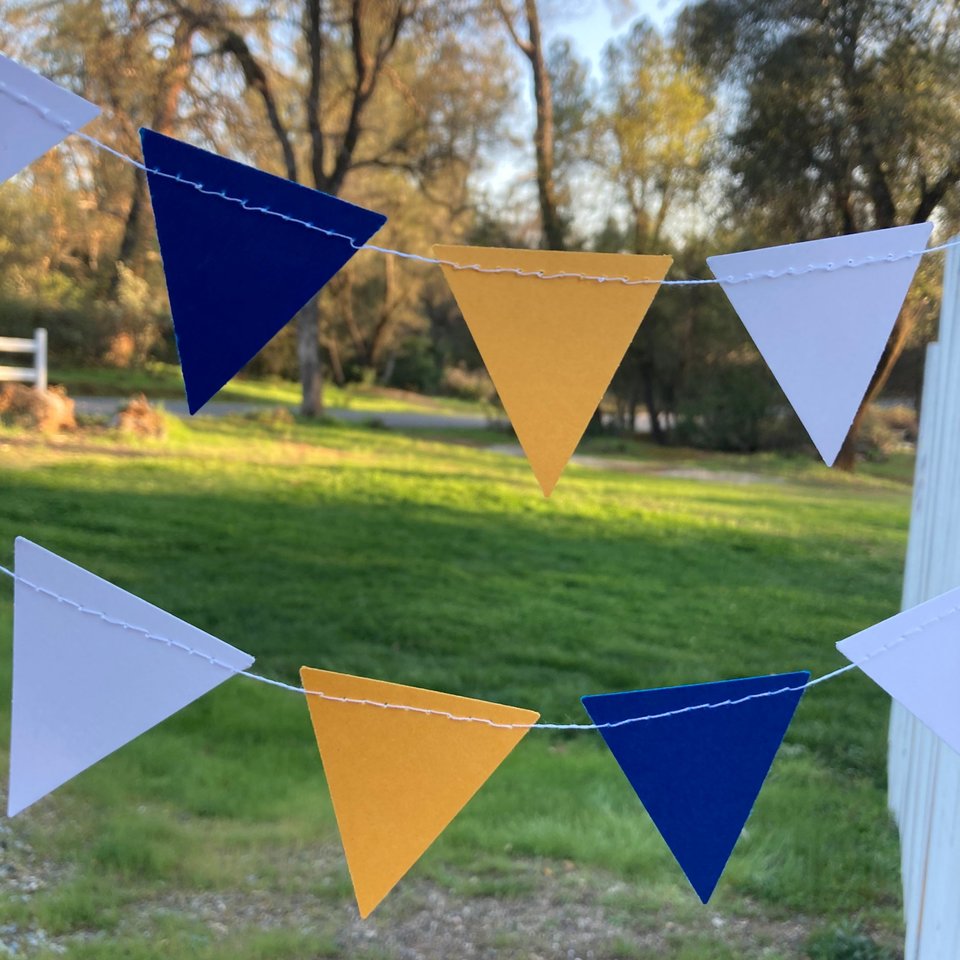 Graduation Decoration, Blue and Gold, Graduation Garland, Triangle Bunting, UC Berkeley Graduation, U of California Grad, Dorm Decoration