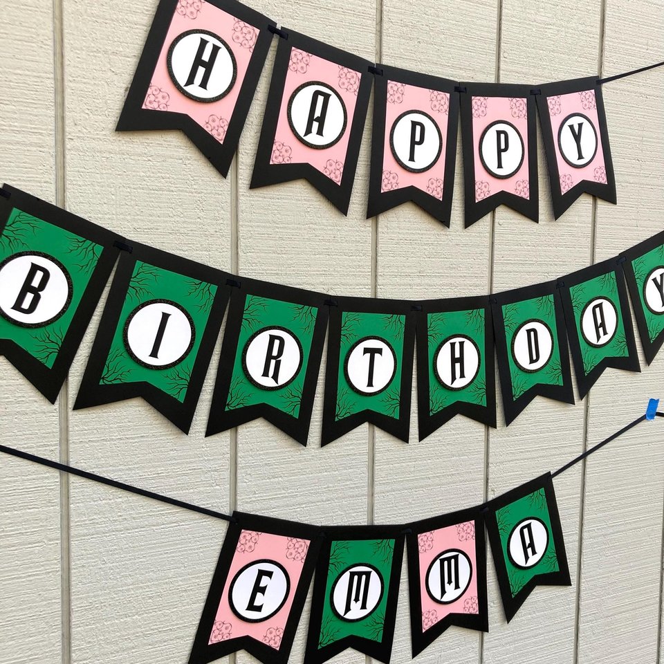 Wicked Personalized Birthday Banner, Good Witch Bad Witch Decor, Green and Pink Birthday Sign, Wicked Movie Party, Trendy Birthday Party