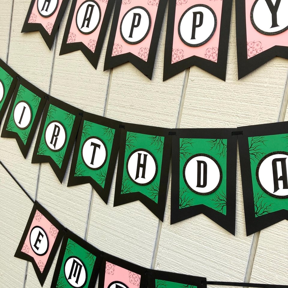 Wicked Personalized Birthday Banner, Good Witch Bad Witch Decor, Green and Pink Birthday Sign, Wicked Movie Party, Trendy Birthday Party