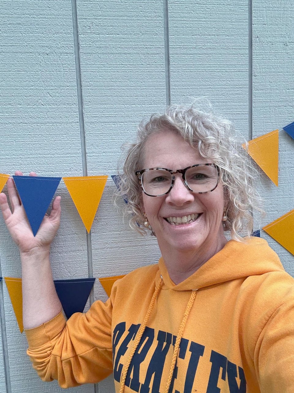 Large Blue and Gold Pennant Garland, UC Berkeley Graduation, Bed Party Bunting, Decision Day, Dorm Decor, Michigan, Notre Dame, California
