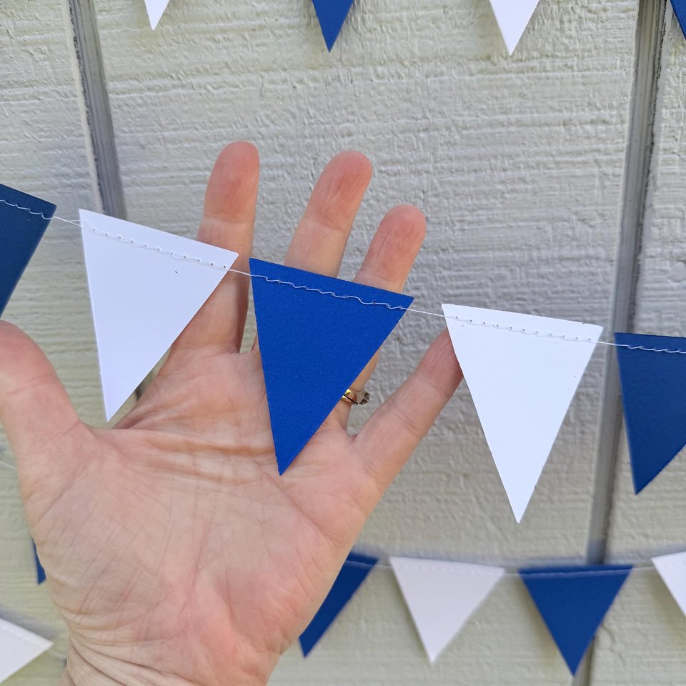 Royal Blue and White Pennant Flags, Graduation Garland, Back to School Dorm Decor, University of Kentucky, Buffalo, Dubuque, Saint Louis