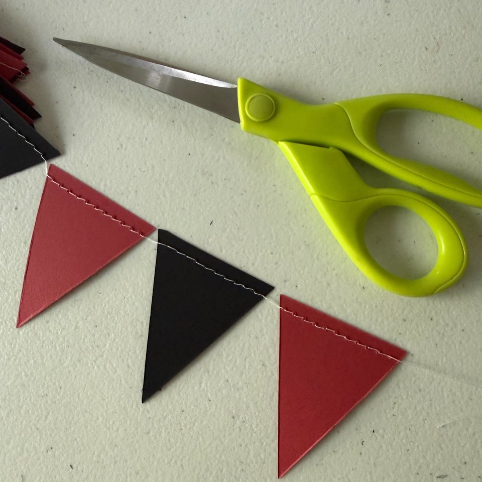 University of South Carolina Graduation Garland, Black and Garnet Red Pennant Flags, Graduation Decoration, Bed Party, Decision Day Streamer